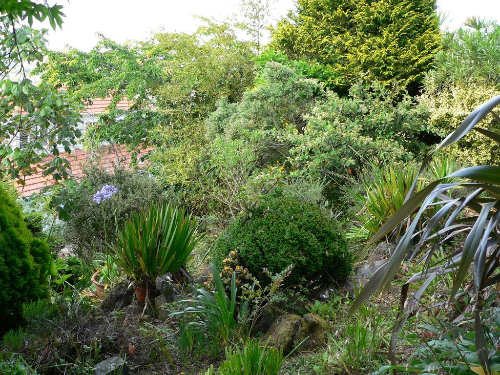 Mount Hobson Apartments Auckland Exteriér fotografie