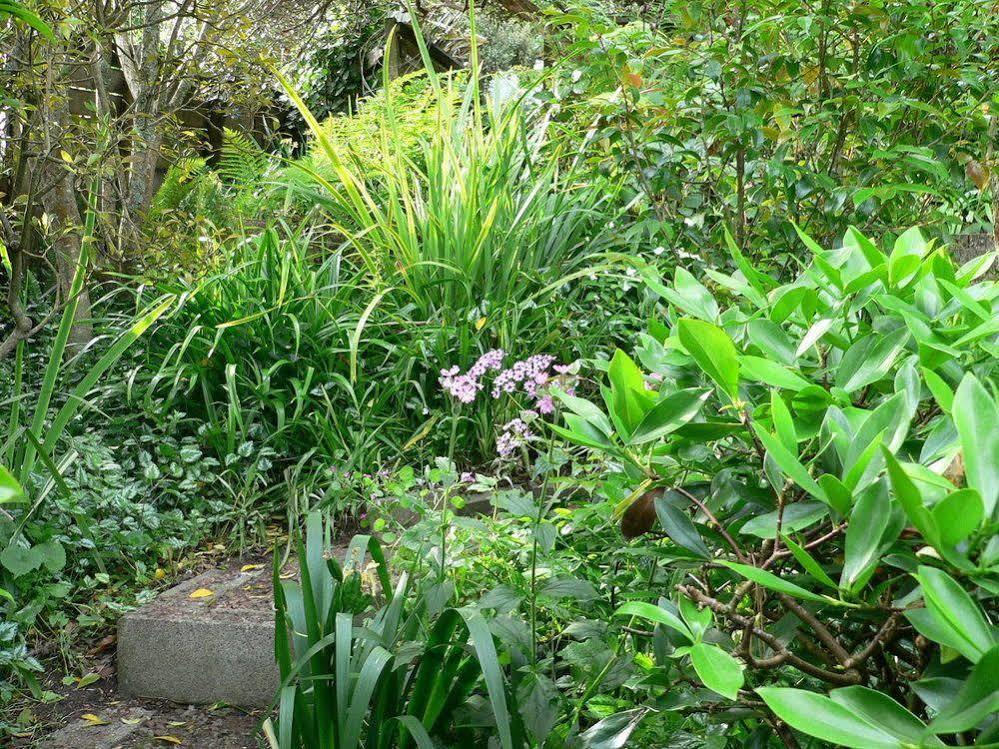 Mount Hobson Apartments Auckland Exteriér fotografie